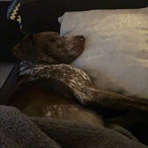 Meet your Posher, Anne